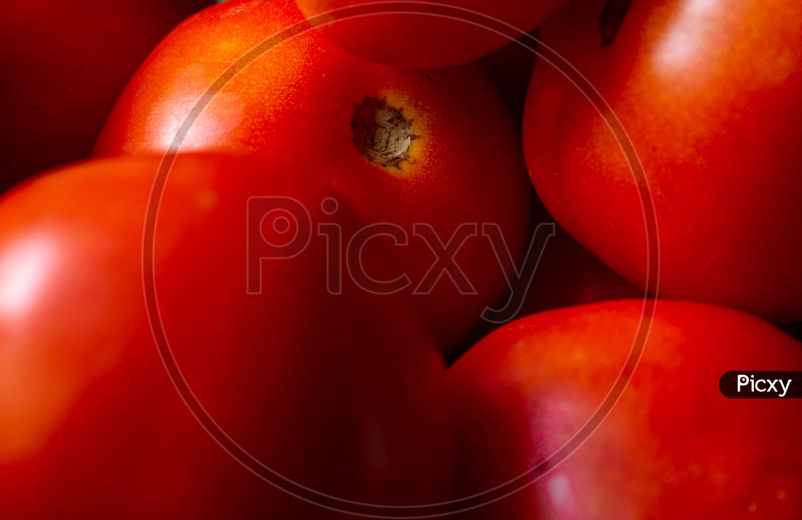 Close View Of Red Tomatoes In Heap. Fresh Red Tomato Fruit For Food Background, Food Closeup.