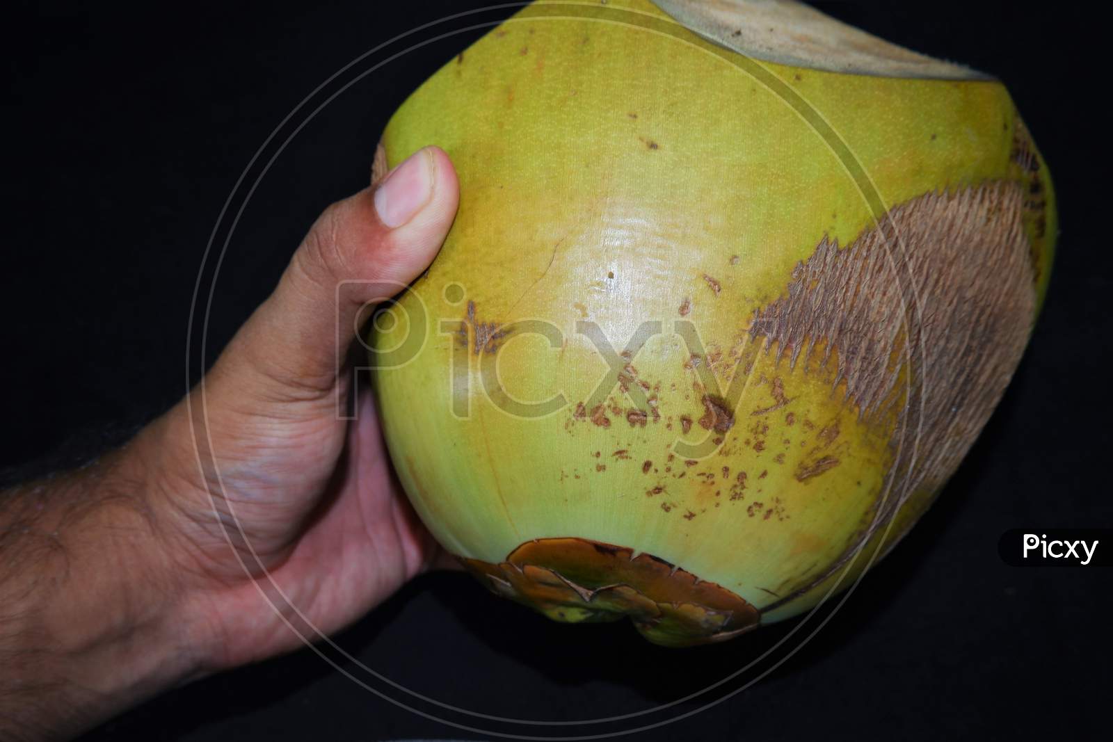 beautiful kerala tender coconut close up ,black background