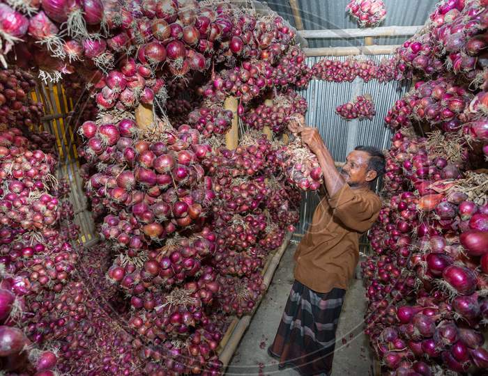 Bangladesh – May 20, 2019: A Man Hanging On Bundle Of Purple-Red Onion In Storage Room At Meherpur, Bangladesh.
