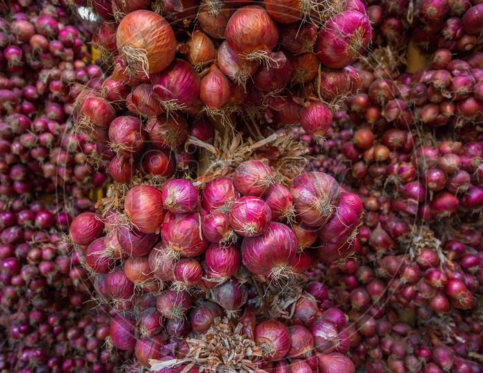 Bundle Of Purple-Red Onion Hanging On Drying And Harvesting Room.