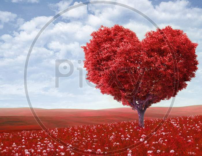 Red Color Heart Shape plant
