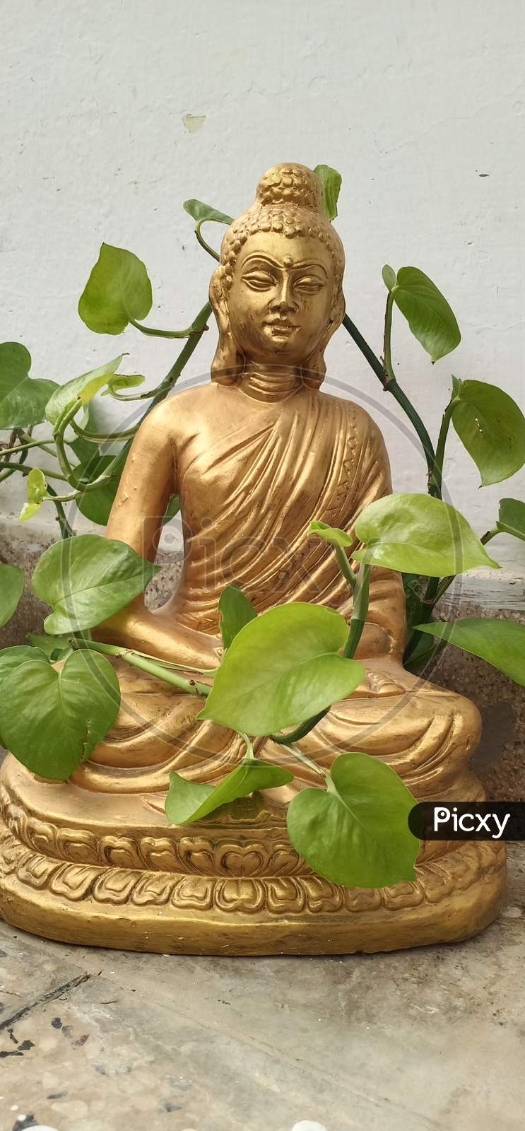 Gautam buddha statue