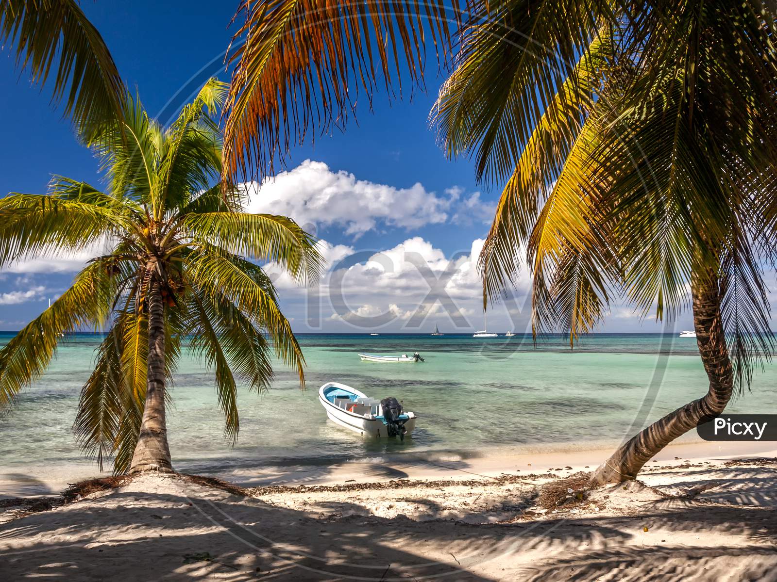 A relaxing shot of a boats tied up on a Caribbean beach by the shade of palm trees.