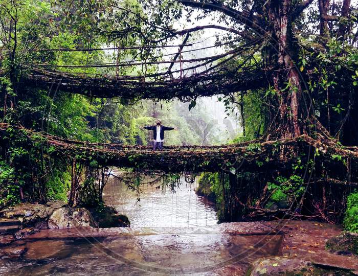Living root bridges in Meghalaya