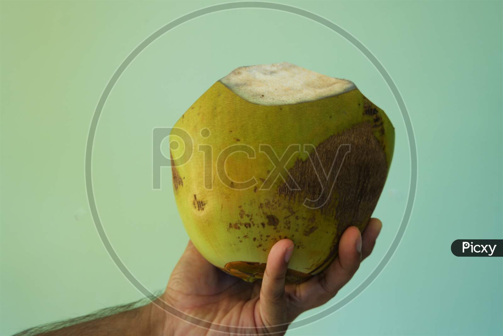 beautiful kerala tender coconut close up