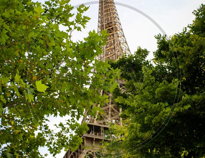 Eiffel Tower Green Trees