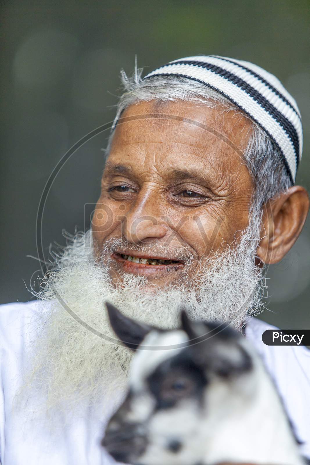 Bangladesh – January 06, 2014: An Older Man Are Holding A Yeanling And Smiling At Ranisankail, Thakurgaon.