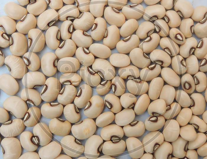 Black eyed beans or Lobia