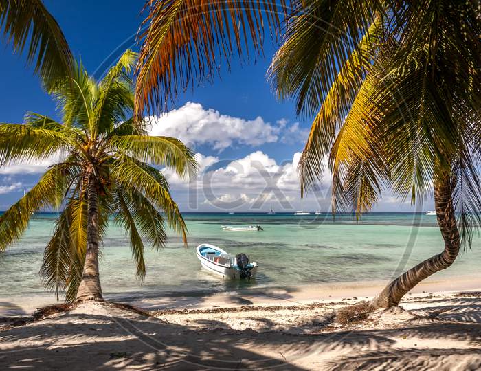 A relaxing shot of a boats tied up on a Caribbean beach by the shade of palm trees.