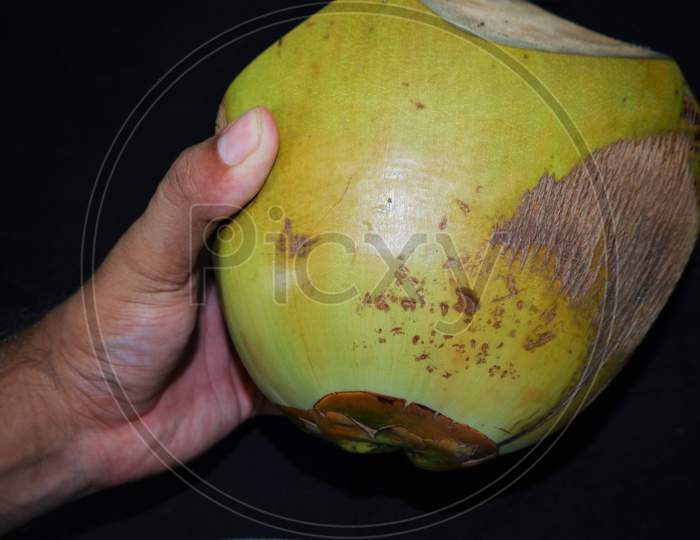 beautiful kerala tender coconut close up ,black background