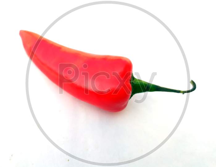 a fresh red chilli isolated on white background