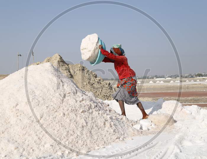 An Indian Labourers Works At a Salt Harvesting Fields  Near  Sambhar Salt Lake In Rajasthan, India.