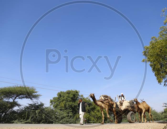 Camel Carts In Nagaur Cattle Fair, Nagaur