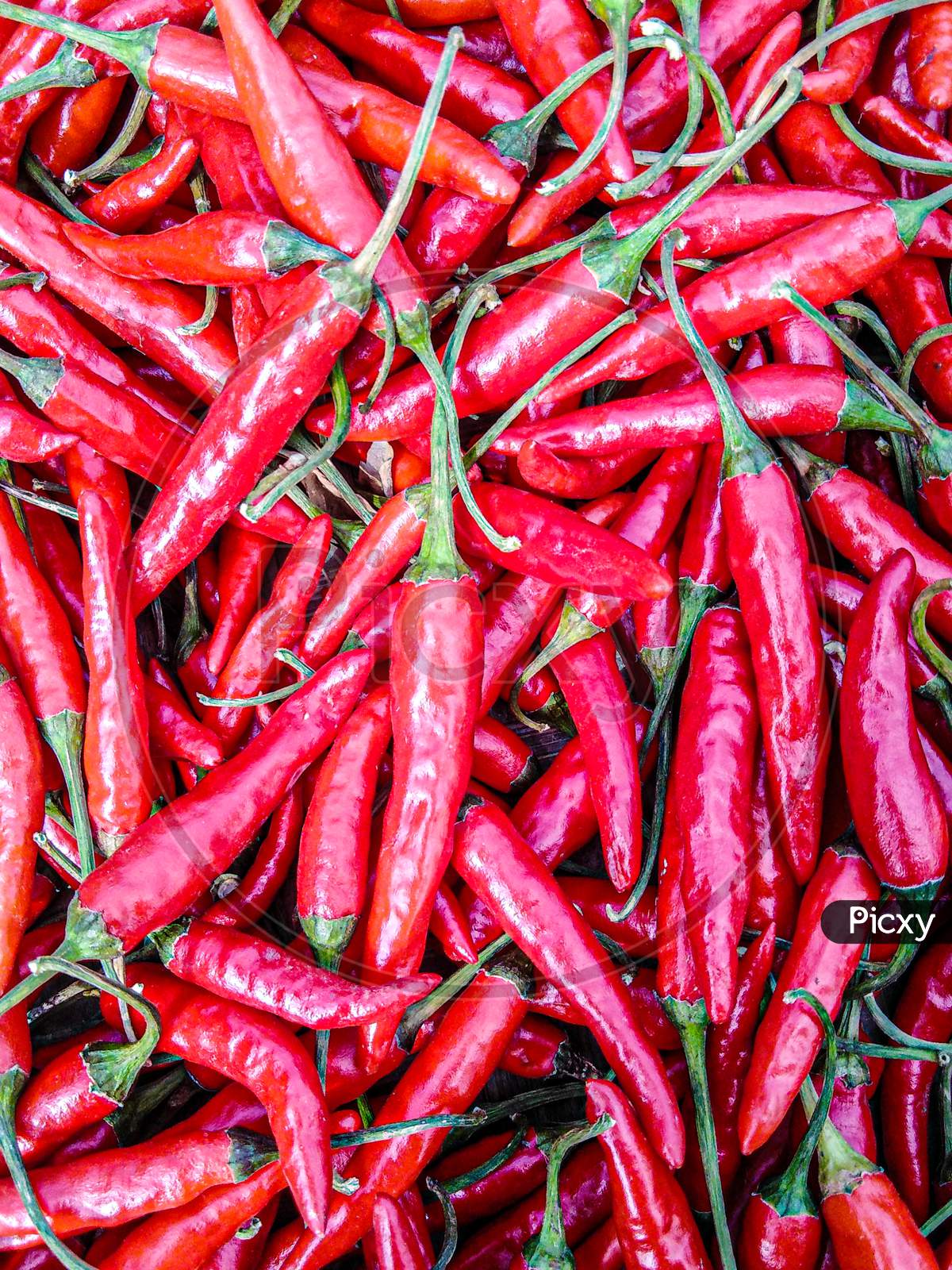 Red chilli image capture
