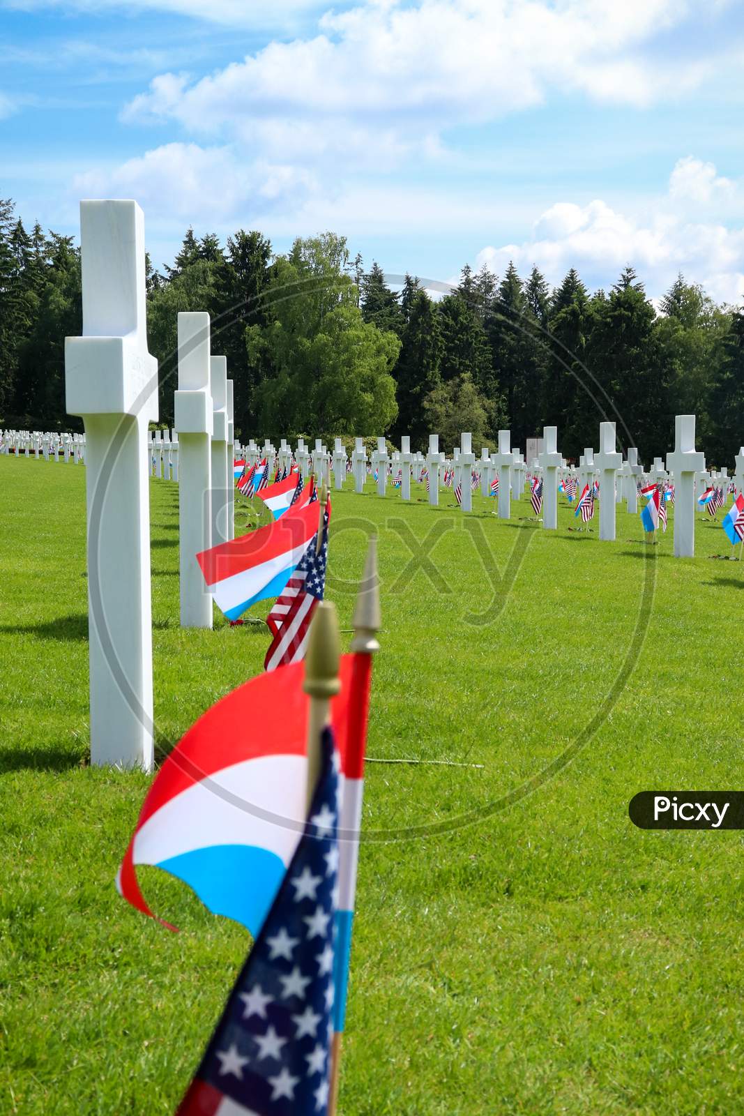 Row Of Flags At A Cemetery