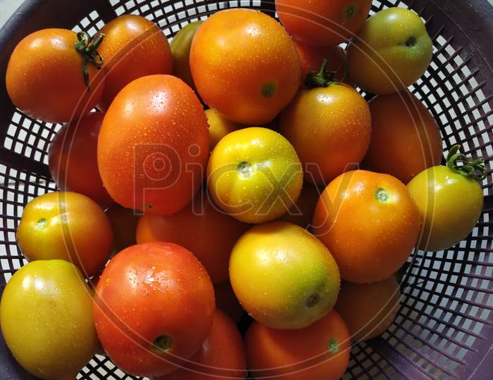 Fresh Juicy Natural Organic Tomato Fruit