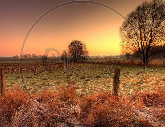 Amazing colorful sunset evening view from the farm with grass and trees