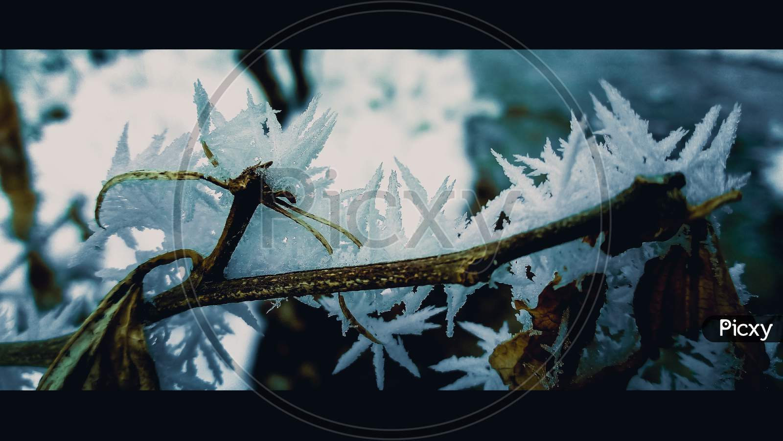 Frozen snowflake