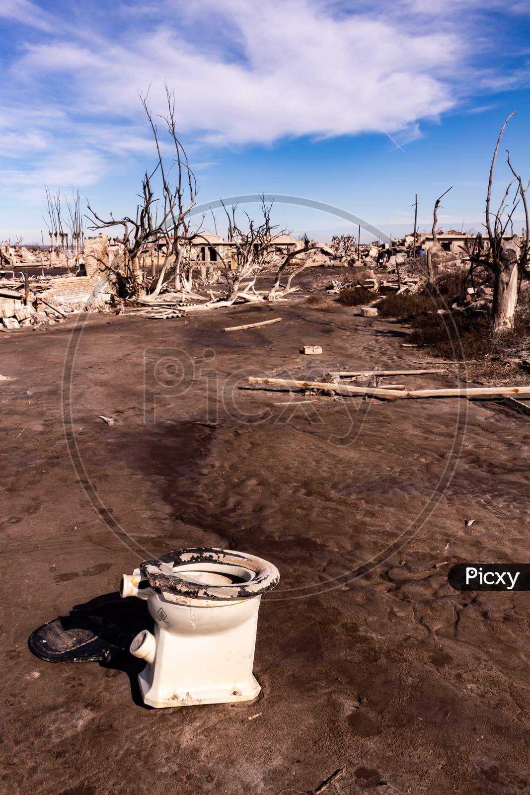 Dead Trees In The City Of Epecuen. Desolate Landscape Without People. Natural Disaster.