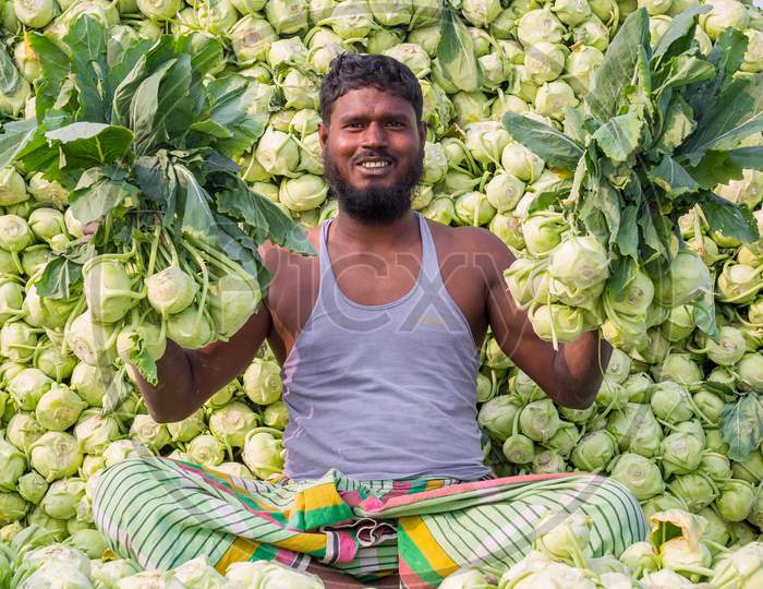 Bangladesh – January 24, 2020: A Worker Is Showing Best Fresh Turnips At Savar, Dhaka, Bangladesh.