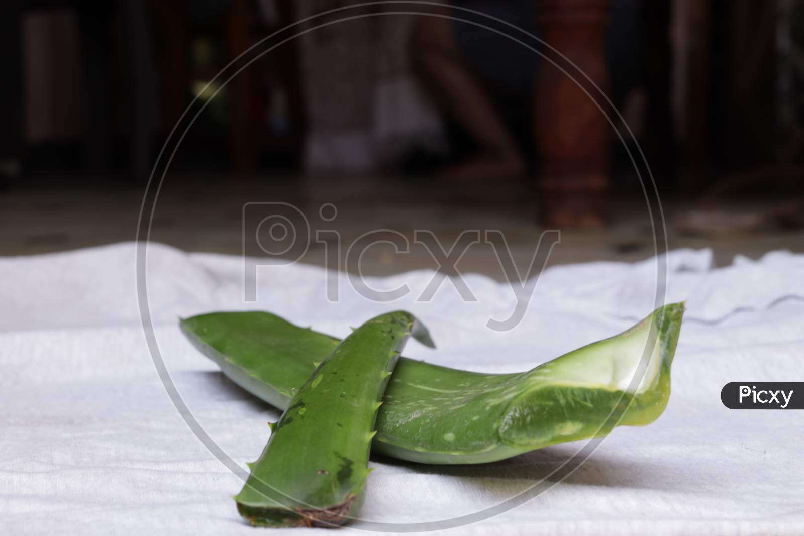 Extracted Aloe vera Gel Pieces Closeup On an Isolated White Background
