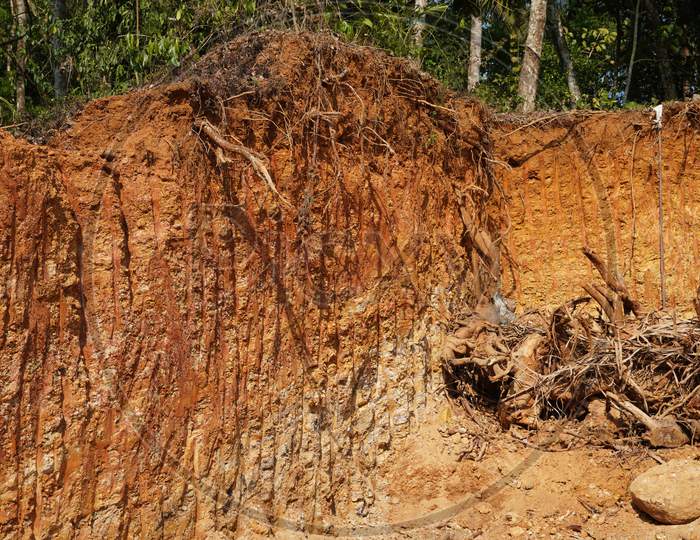 Deforestation close up with roots, rocks showing in sunlight. Red and yellow rocks where soil was dug from forest using an excavator in construction site. Sand excavation concept.