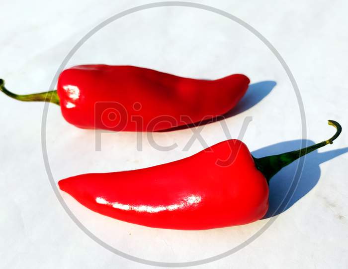 a fresh red chilli isolated on white background