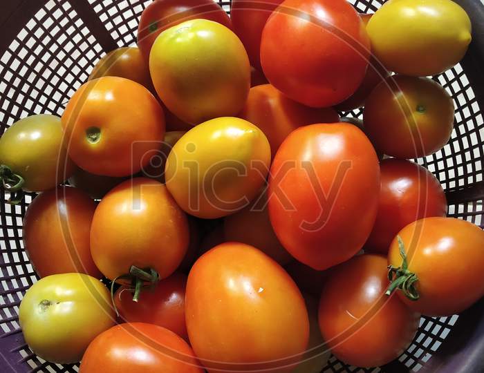 Close-up view of fresh juicy red tomato in basket