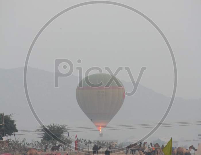 Hot Air Gas Balloons At Pushkar Camel Fair, Rajasthan
