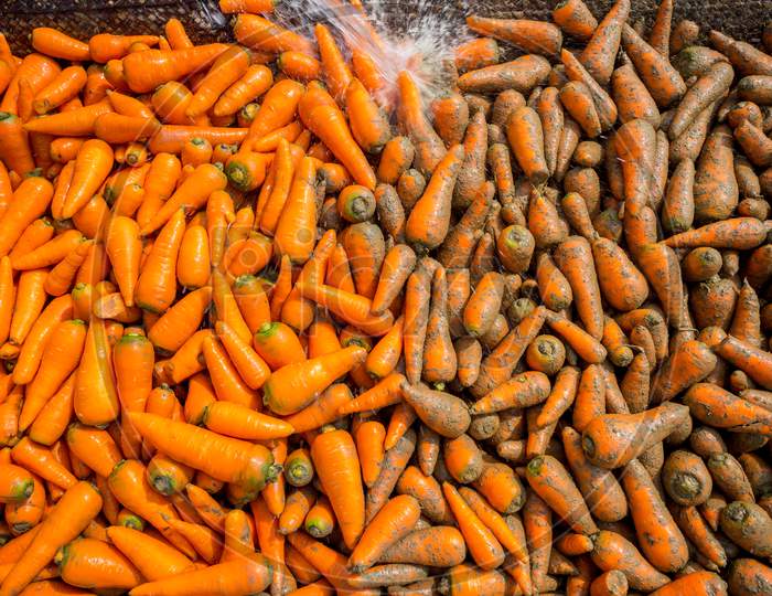 Arrange Alongside Washed Carrots And Dirty Carrots. Food Background. Near Savar District At Dhaka, Bangladesh.
