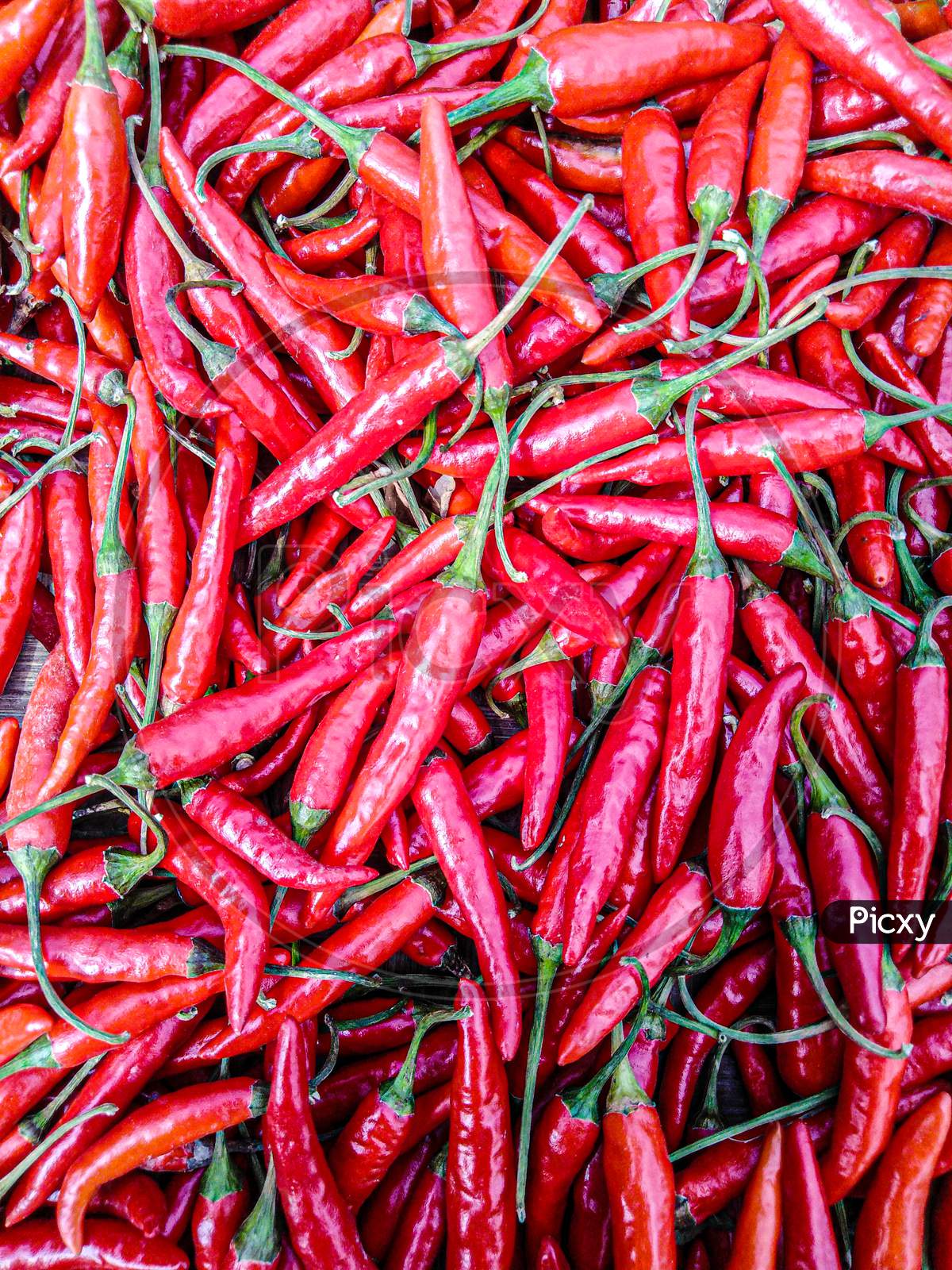 Red chilli image capture
