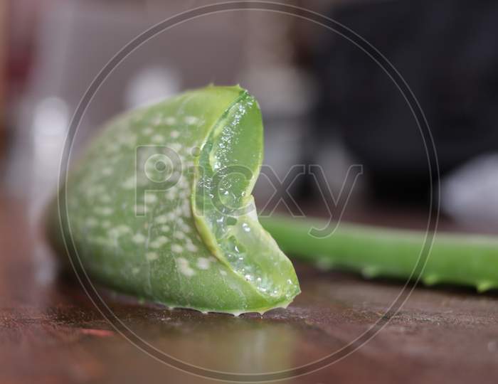 Extracted Aloe vera Gel Pieces Closeup On an Isolated White Background