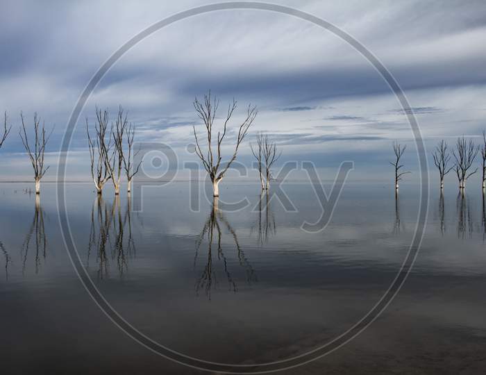 Dead Trees On Lake Epecuen. The Sky And Water Merge On The Horizon. Branches Without Leaves On Trees Submerged In Salt Water.