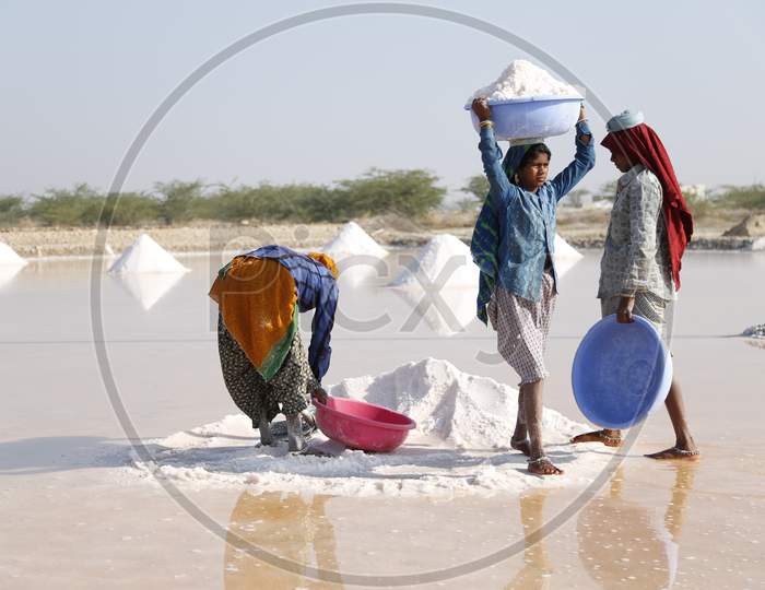 An Indian Labourers Works At a Salt Harvesting Fields  Near  Sambhar Salt Lake In Rajasthan, India.