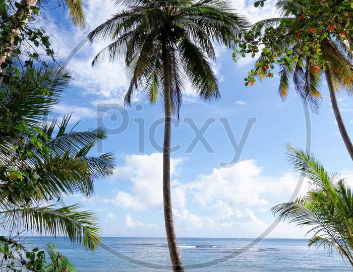 Beautiful pictures of Dominica