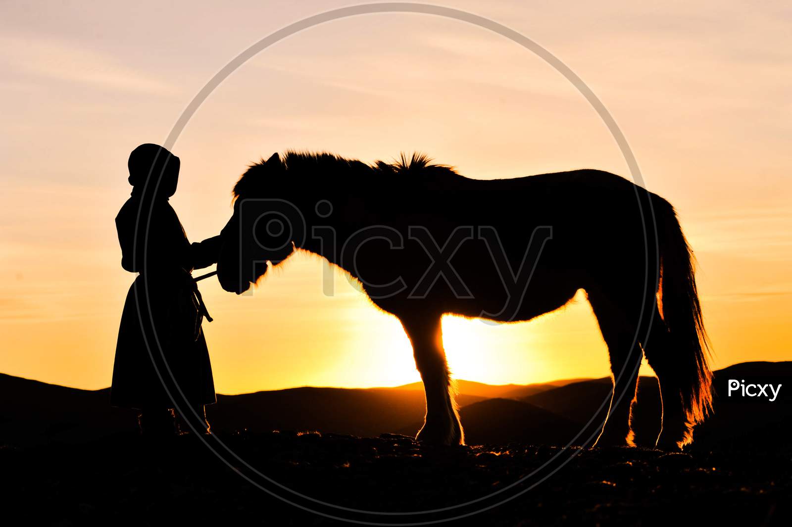 Mongolian horse rider son