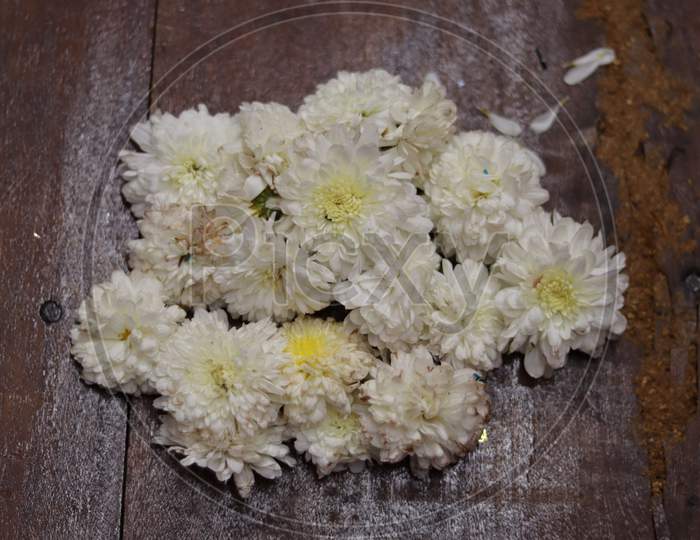 white coloured chamanthi flowers in india