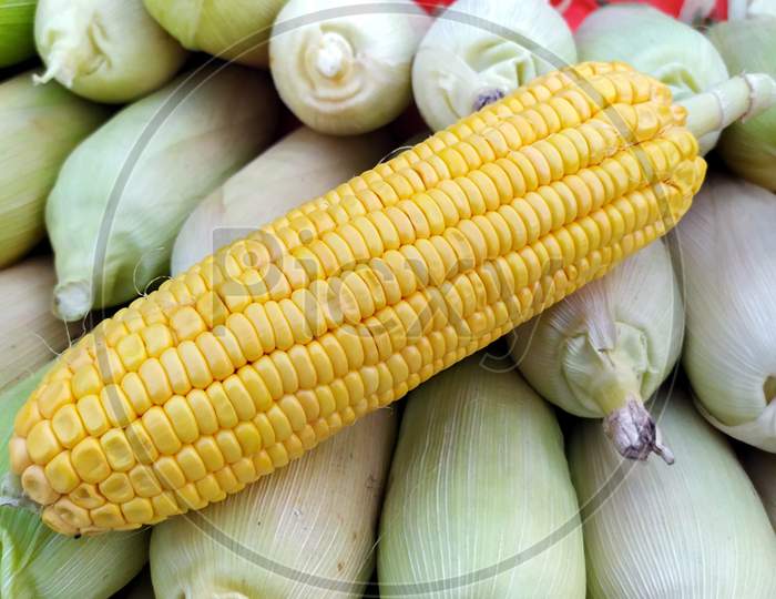 a yellow color baby corn put on a corn shop
