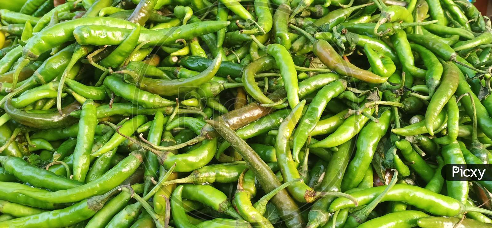 Green chillies.