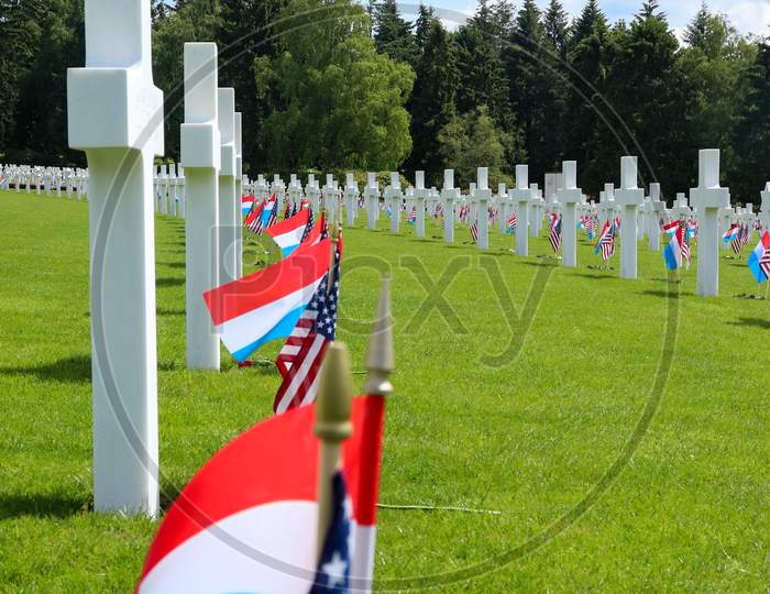 Row Of Flags At A Cemetery