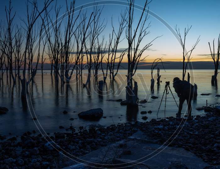 Dead Trees In The Abandoned City Of Epecuen. Woman Photographing The Sunset At The Lake