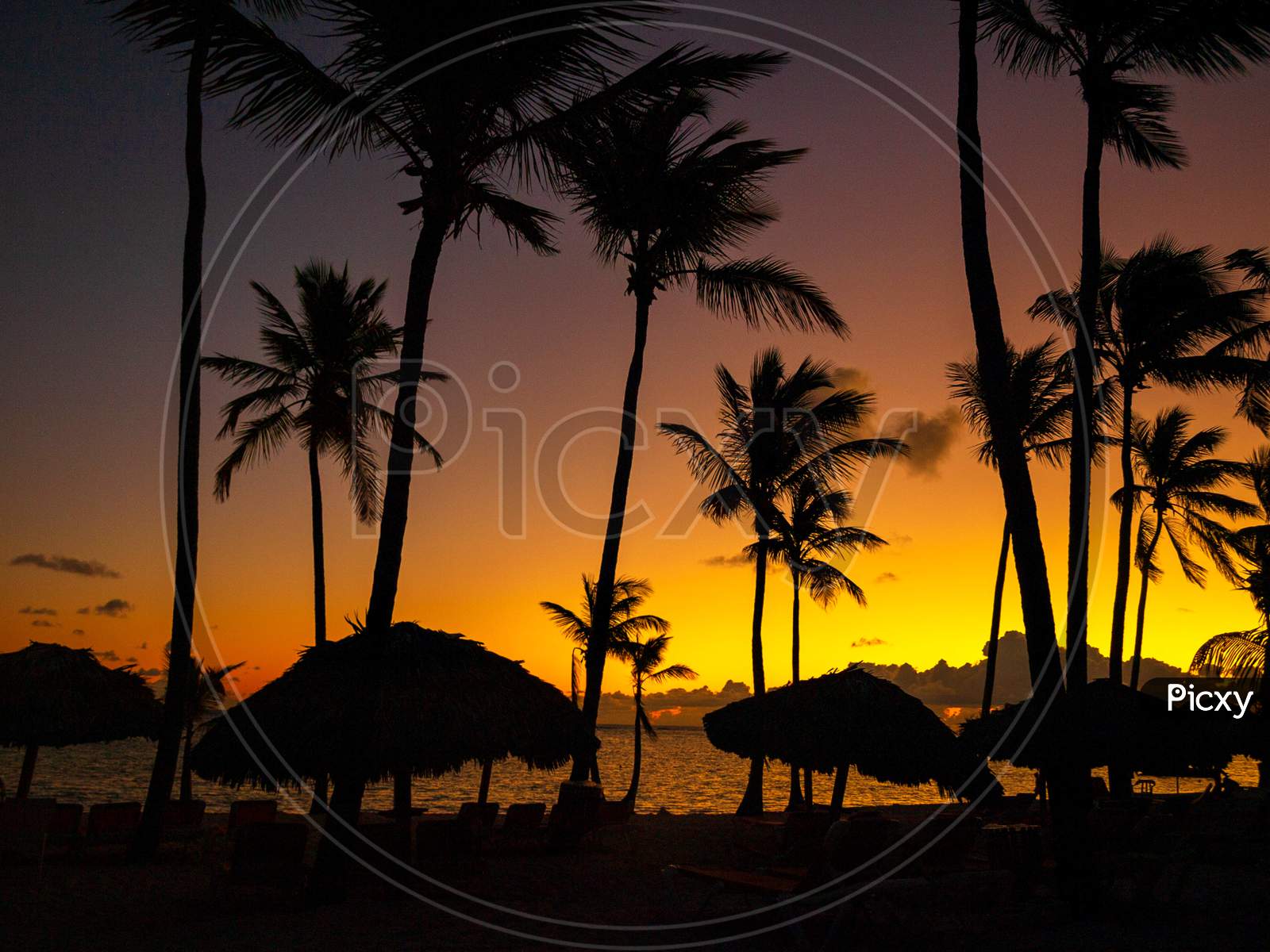 Tropical sun set silhouette