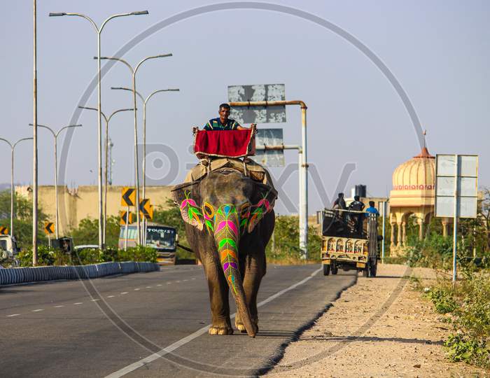 March 2018, nahargarh road, jaipur rajasthan india.Elephants are mammals of the family Elephantidae and the largest existing land animals.