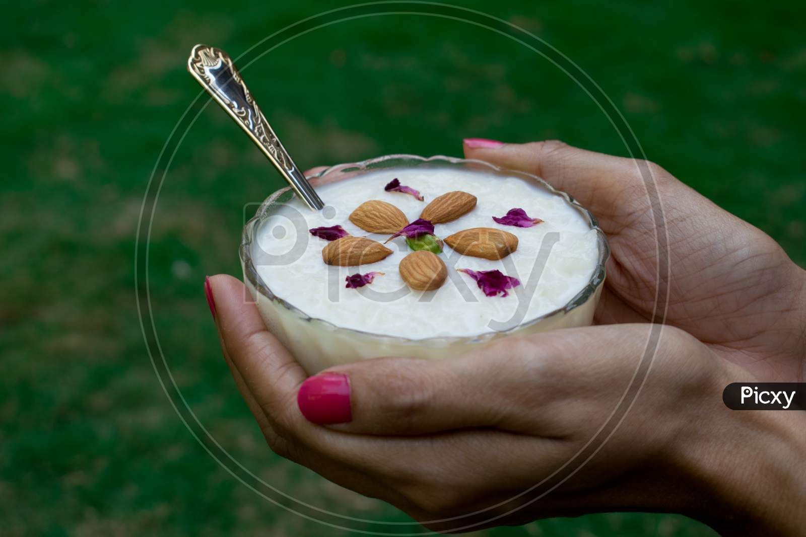 Female Holding Dessert Kheer/Khir (Rice Pudding)In Palms Made Of Milk, Rice, Sugar And Dry Fruits. Popular Cuisine From Indian Subcontinent, Pakistan, Nepal, Bhutan And Bangladesh Festive Time