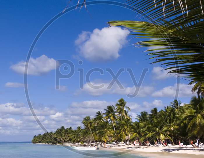 Caribbean beach with sand and palm trees