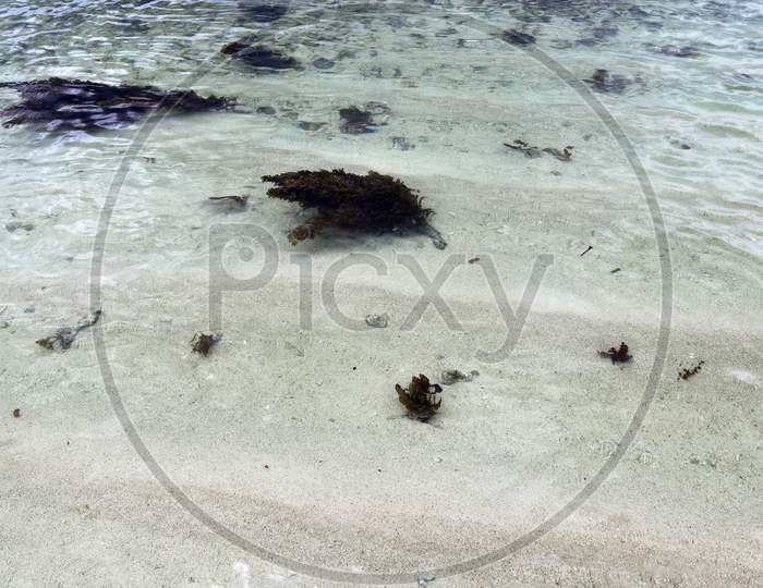 Beautiful shots of the white beaches on the Seychelles paradise island with footprints
