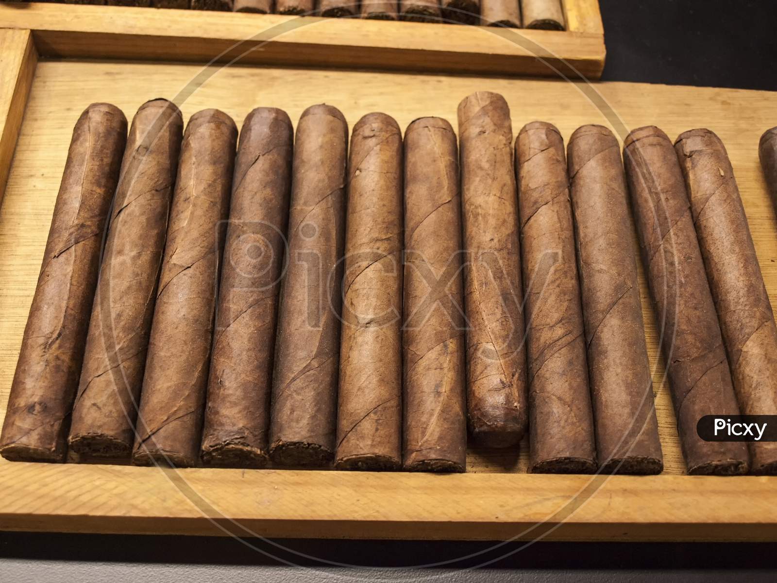 Hand rolled Cuban cigars