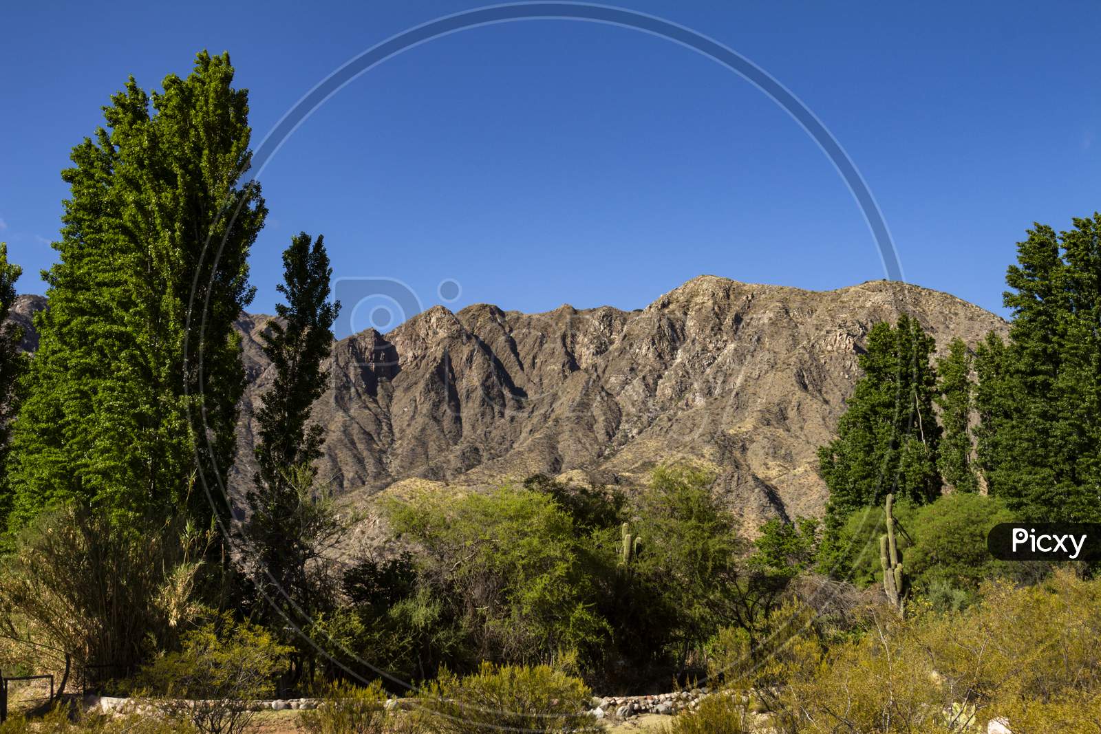 Andes Mountains. Mountainous System Of The Argentine Republic.
