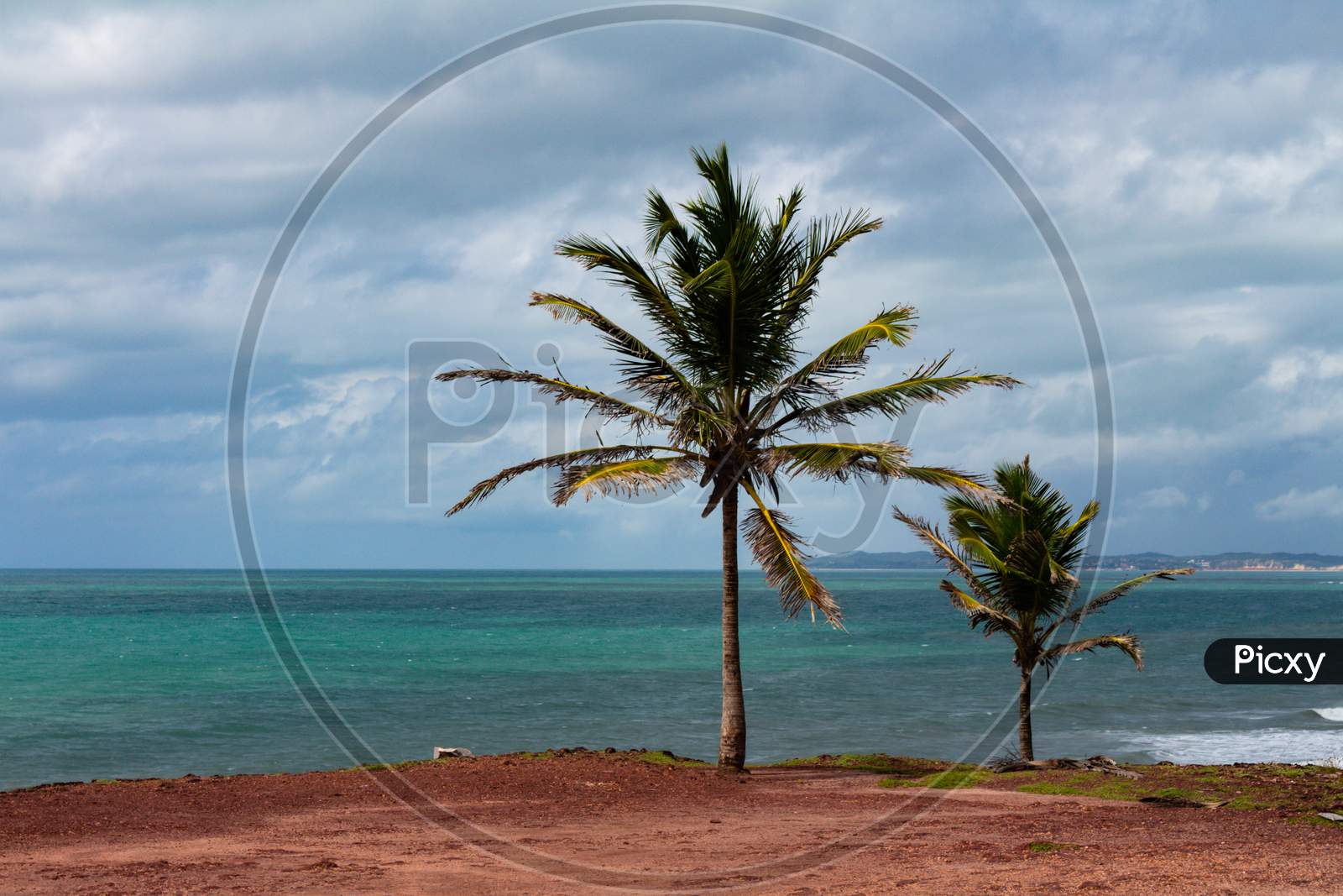 Paradise Beaches In Northern Brazil. Coastal Holiday Landscape.