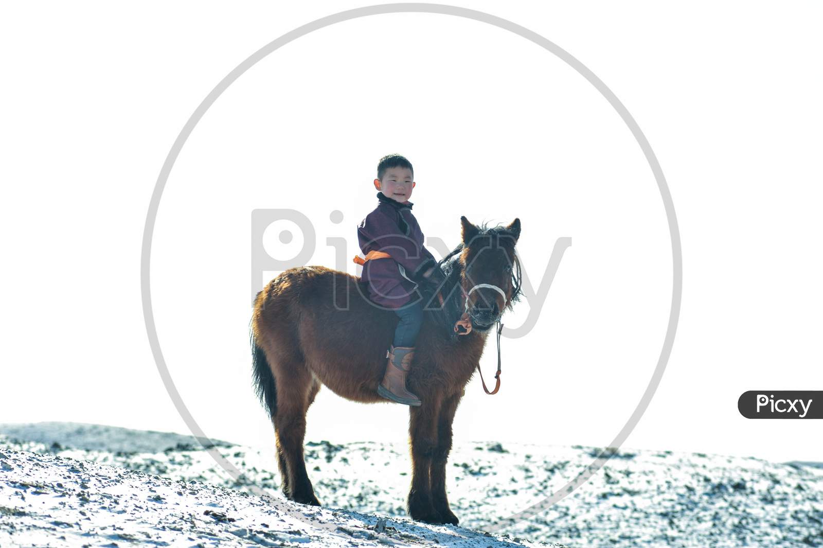 little son and her horse